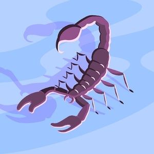 Meet your Posher, Kaitlin